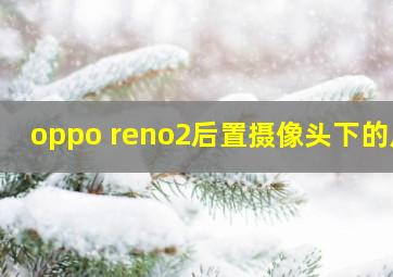 oppo reno2后置摄像头下的点